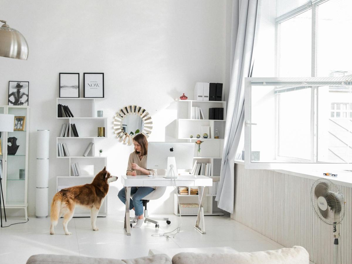 ARCA simplificó la inscripción tributaria y eliminó la CDI